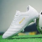 e7cc53ac860a6f6675c01cc30ccc7db3.jpg